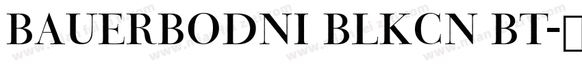 BauerBodni BlkCn BT字体转换